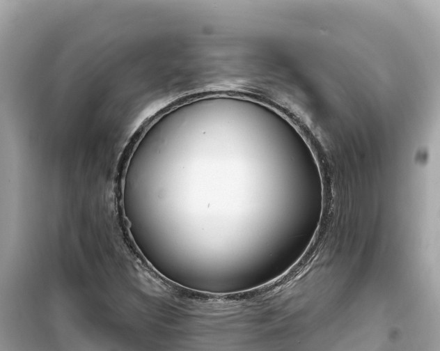 X0000099521308200805221436