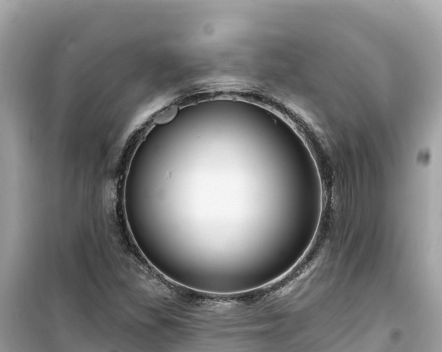 X0000099521309200805221436