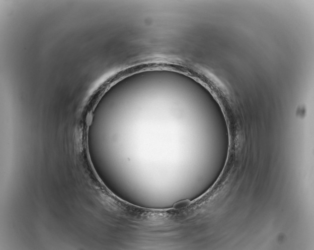 X0000099521310200805221436