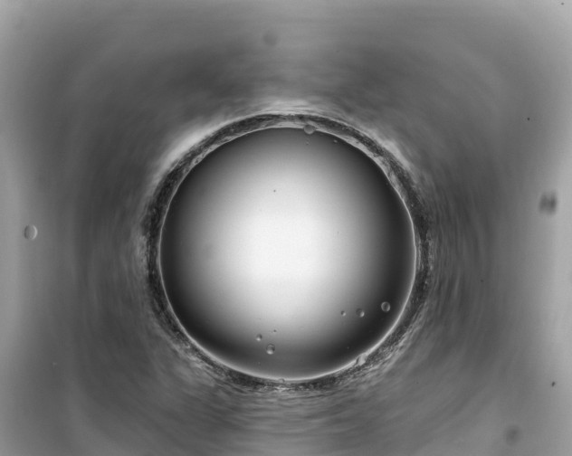 X0000099521311200805221436