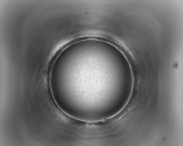 X0000099521312200805221436