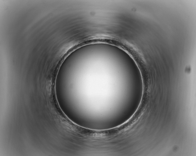 X0000099521313200805221436