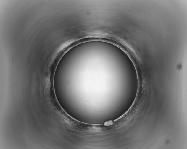 X0000099521315200805221436