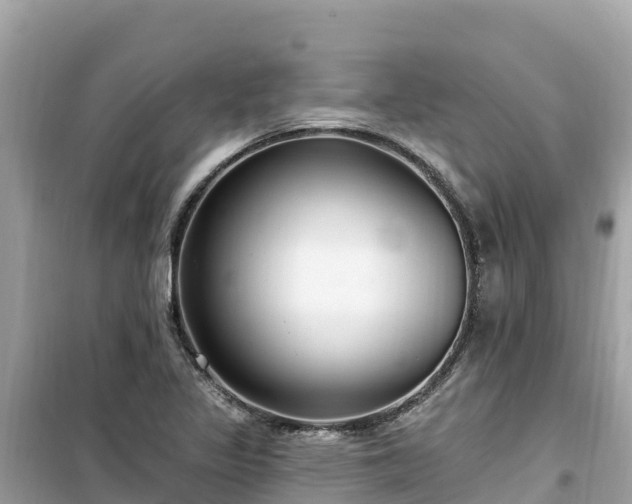 X0000099521317200805221436