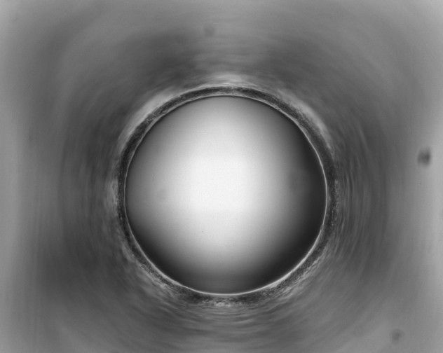 X0000099521318200805221436