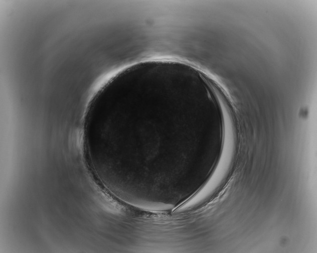 X0000099521319200805221436