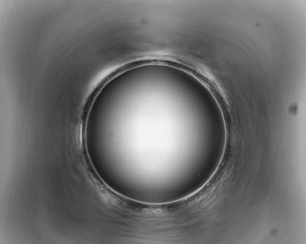 X0000099521320200805221436