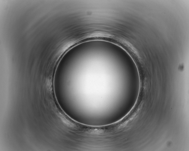 X0000099521321200805221436