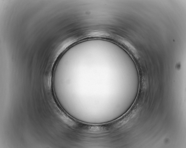 X0000099521322200805221436