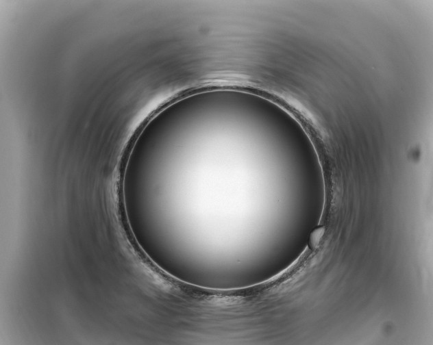 X0000099521325200805221436