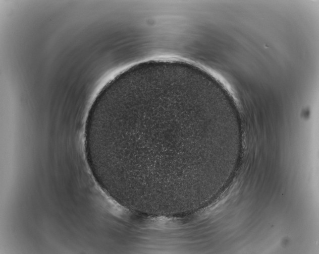 X0000099521327200805221436