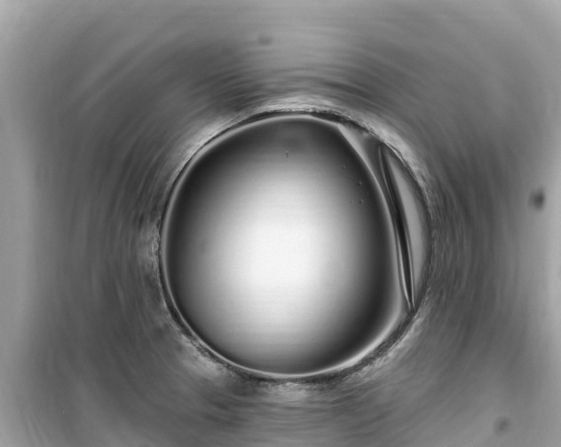 X0000099521329200805221436
