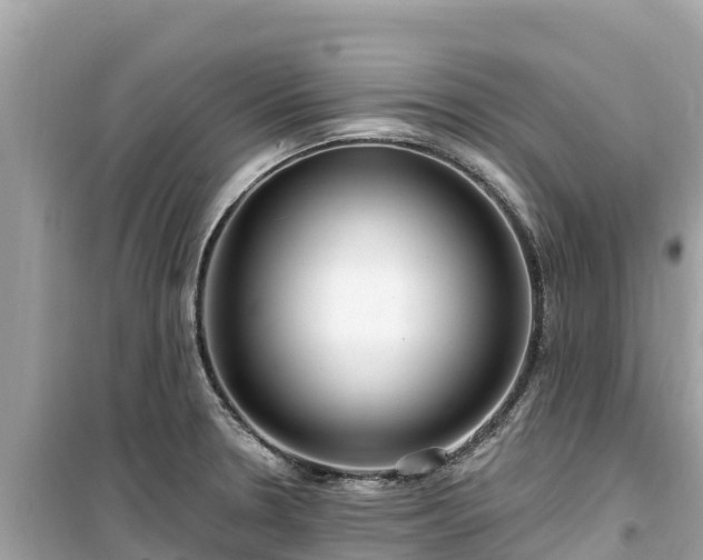 X0000099521330200805221436