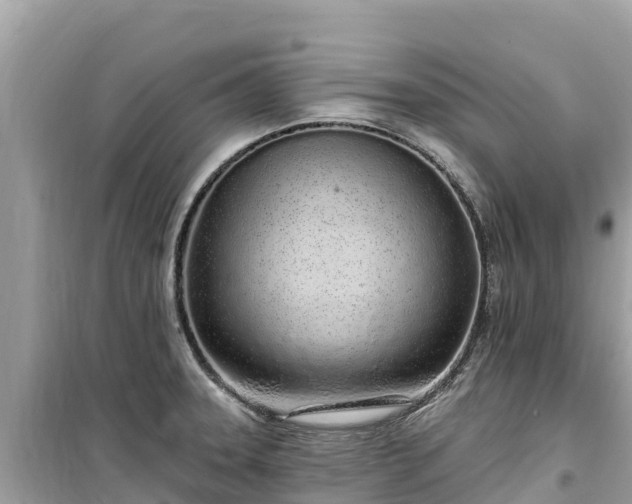 X0000099521331200805221436