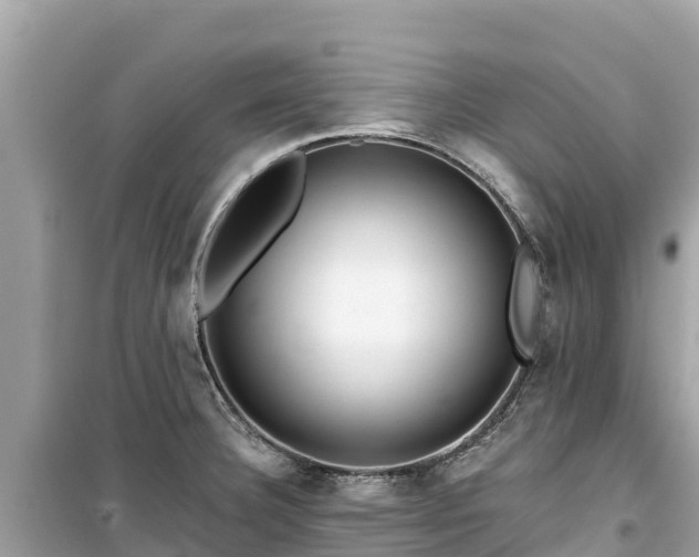 X0000099521332200805221436