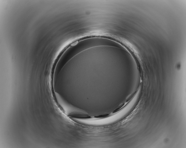 X0000099521334200805221436