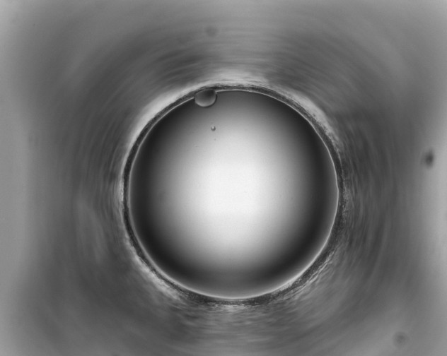 X0000099521335200805221436