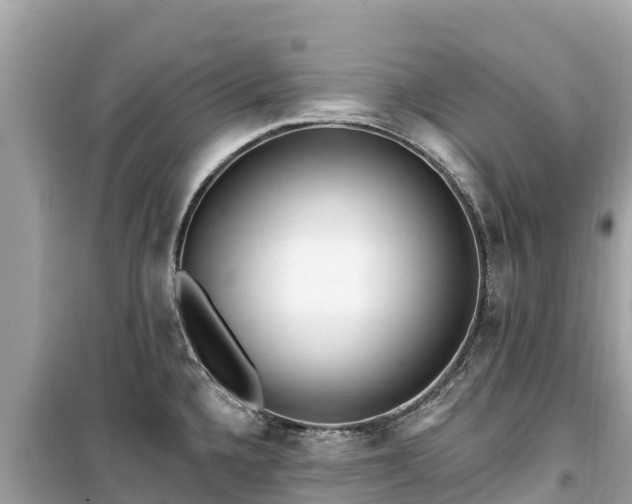 X0000099521336200805221436