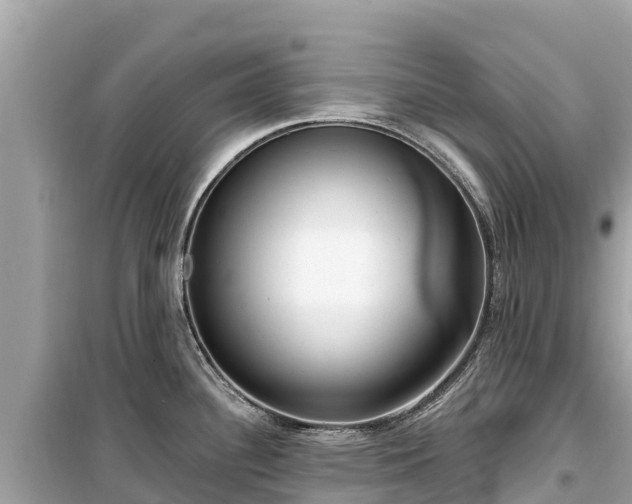 X0000099521340200805221436