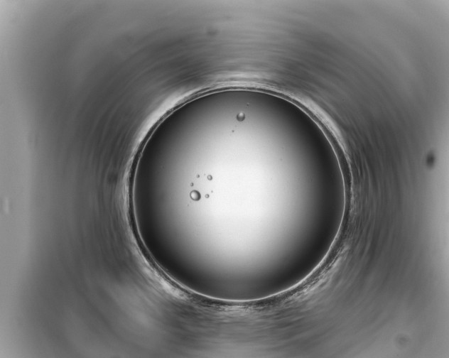 X0000099521341200805221436