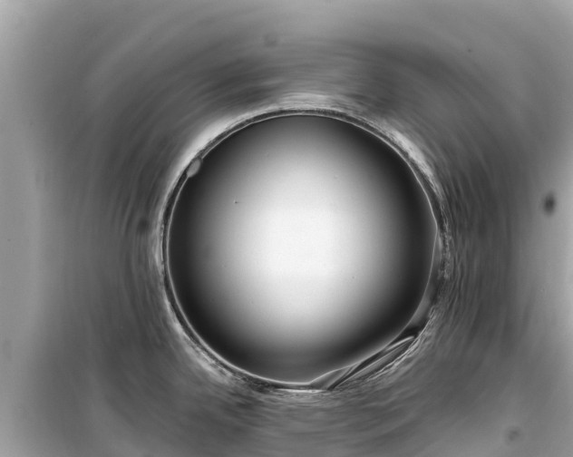 X0000099521342200805221436