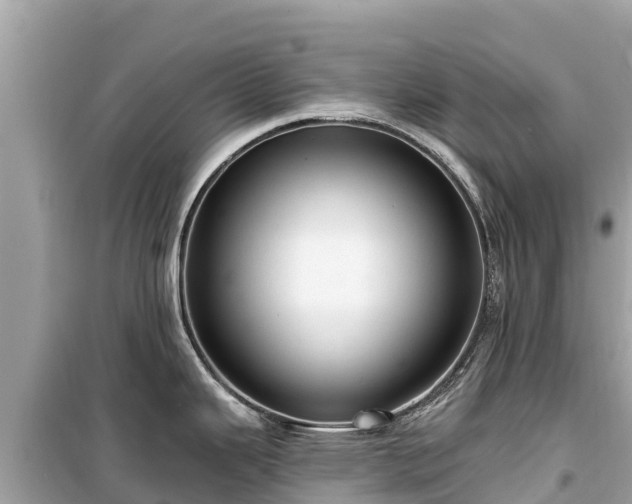 X0000099521343200805221436