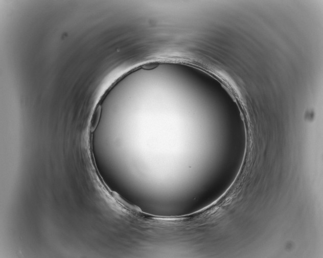 X0000099521344200805221436