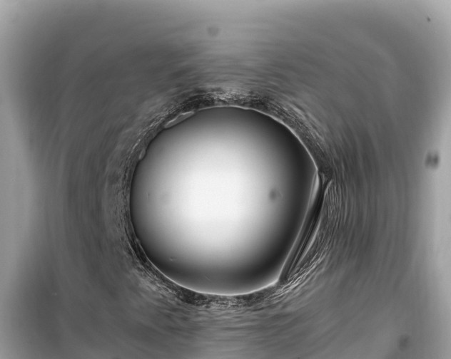X0000099521345200805221435