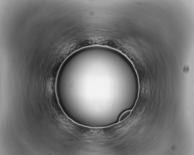 X0000099521346200805221435