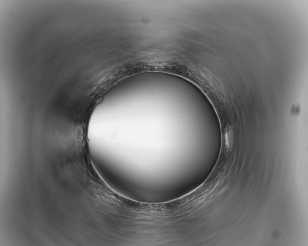 X0000099521347200805221435