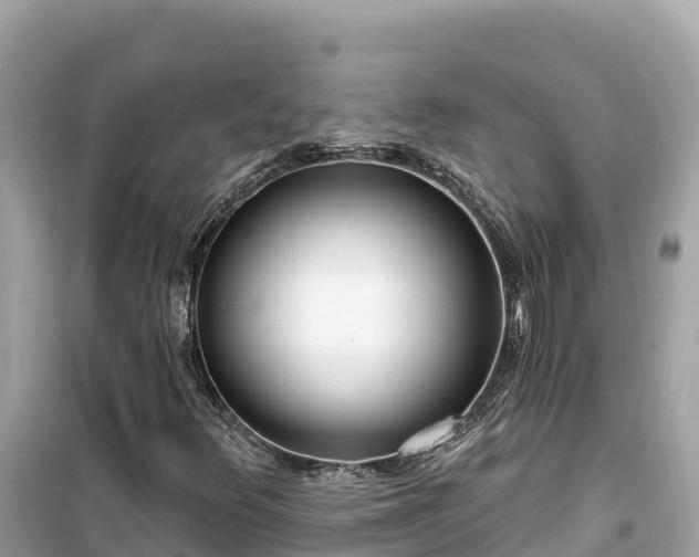X0000099521348200805221435