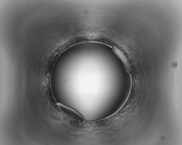 X0000099521349200805221435