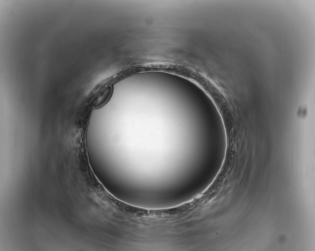 X0000099521351200805221435