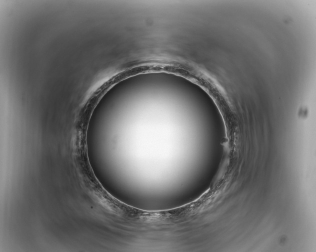 X0000099521352200805221435