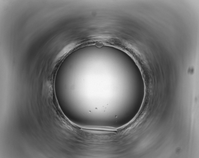 X0000099521354200805221435