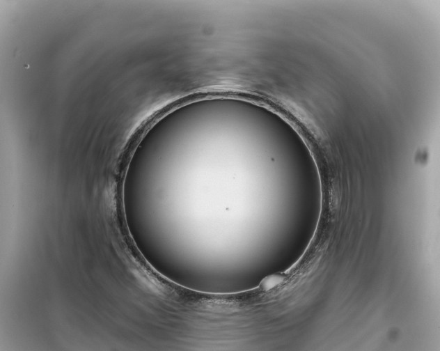 X0000099521356200805221435