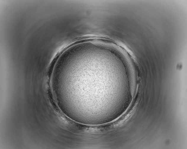 X0000099521357200805221435