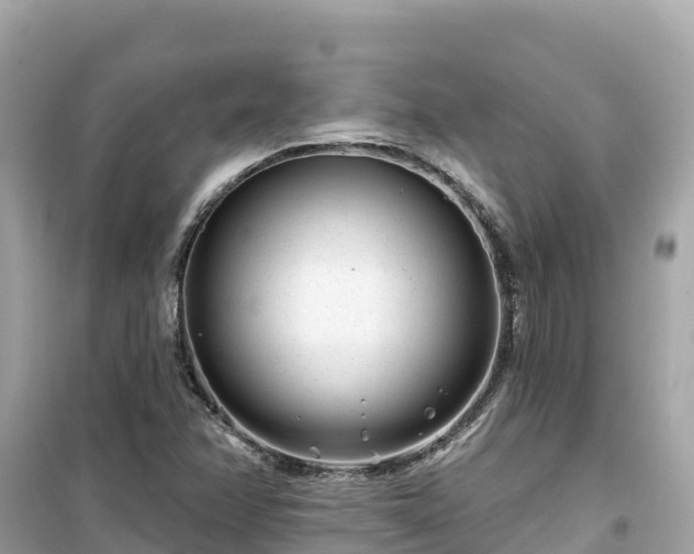 X0000099521358200805221435