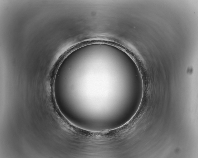 X0000099521360200805221435