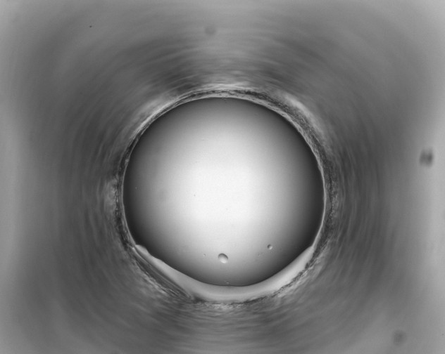X0000099521361200805221435
