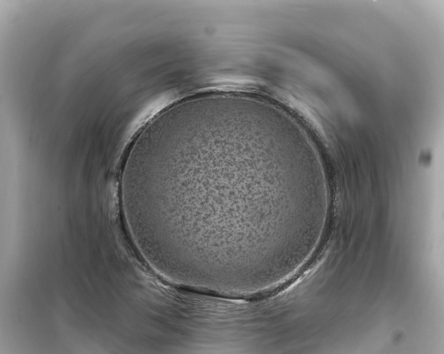 X0000099521362200805221435