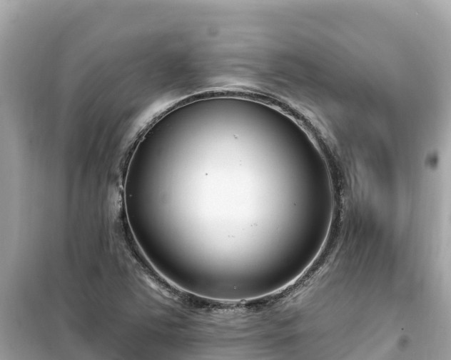 X0000099521363200805221435