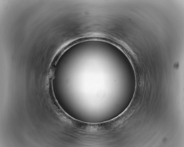 X0000099521364200805221435
