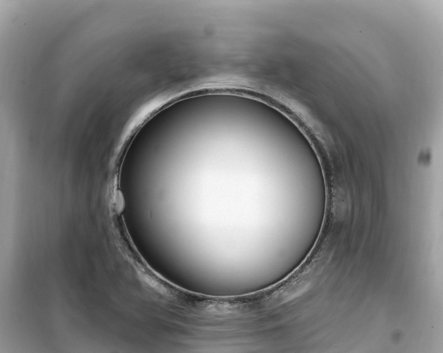 X0000099521366200805221435