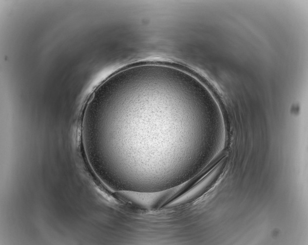 X0000099521367200805221435