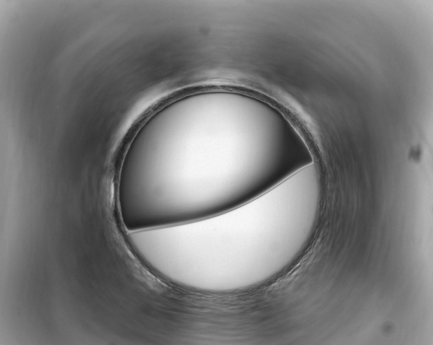 X0000099521368200805221435
