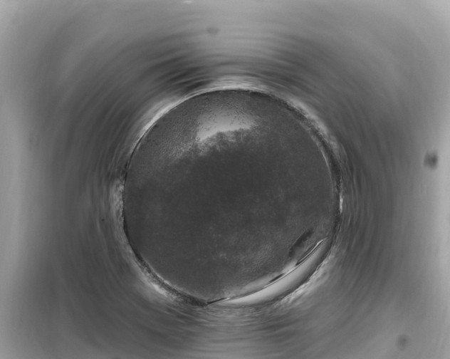 X0000099521369200805221435