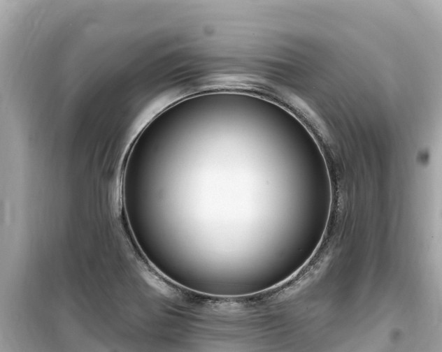 X0000099521370200805221435
