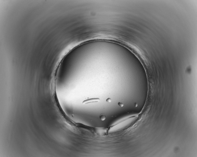 X0000099521371200805221435