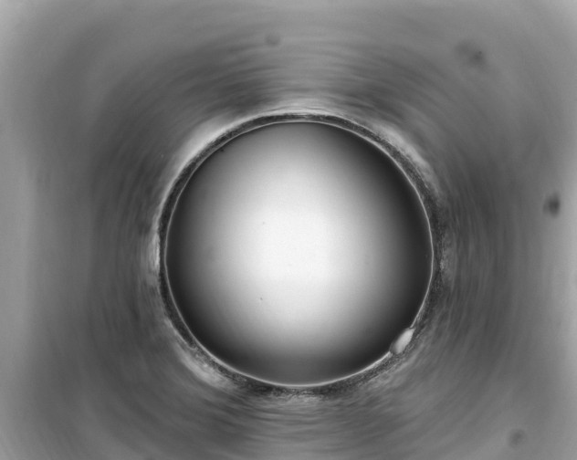 X0000099521372200805221435